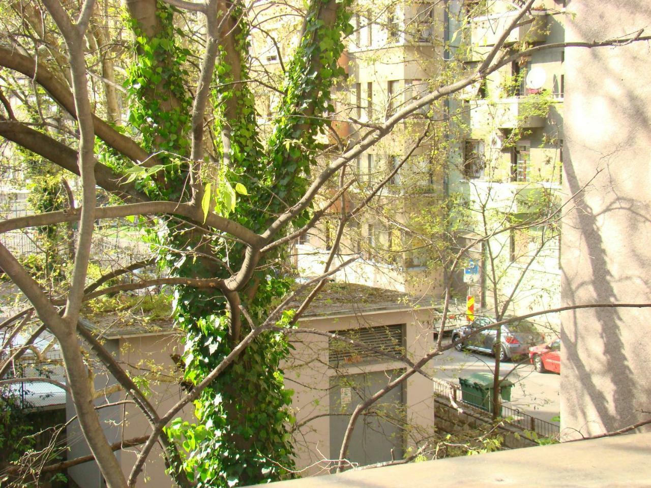 My Sun Apartman Fiume Kültér fotó